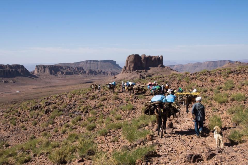 לינה וארוחת בוקר Nkob Berber Nomad Kasbah מראה חיצוני תמונה